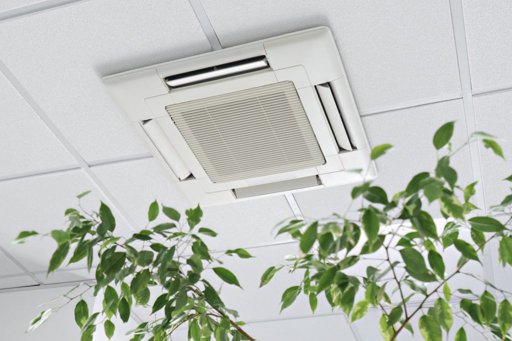 Bottom view cassette Air Conditioner on ceiling in office ficus plant leaves. Indoor air quality